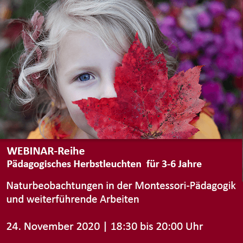Webinare_Herbstleuchten2020_1
