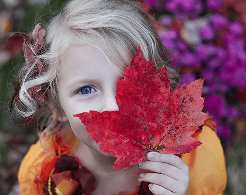 herbst-kind Montessori Webinare
