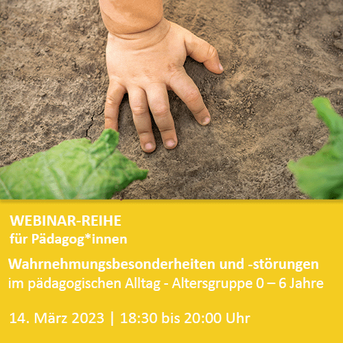 Webinare_Wahrnehmungsbesonderheiten2v1
