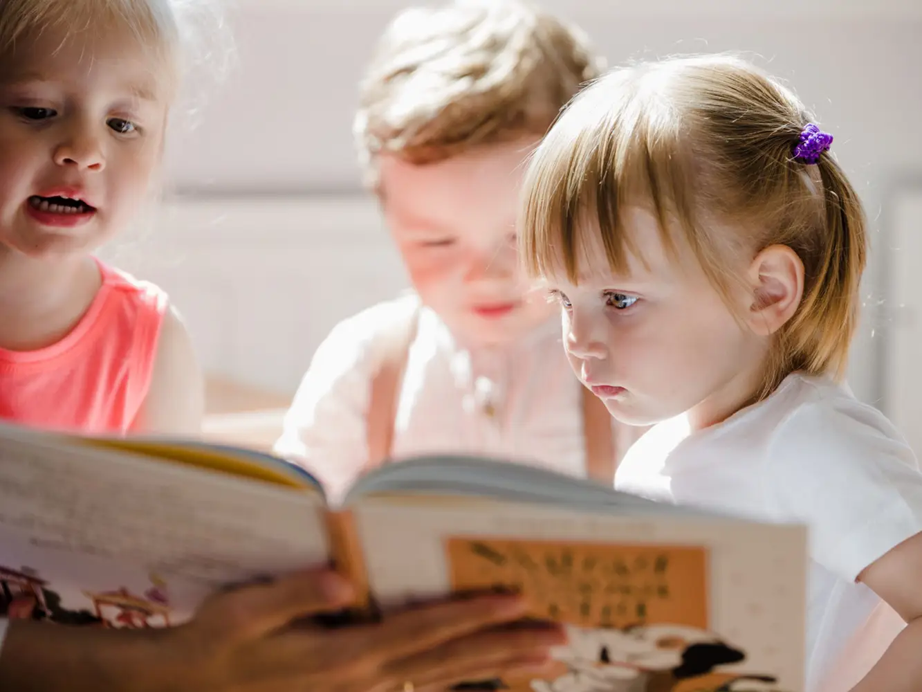 Kleinkinder Buch ansehen lesen Kinderhaus Kita Kindergruppe Montessori Ausbildung Kopie